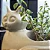 Vaso para Plantas Gato Mascote Decoração Interna Externa - Imagem 7