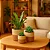 Kit 3 Cachepot Para Plantas Cesto Palha Decoração Boho Chic - Imagem 3