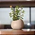 Vaso Para Planta Pequeno Texturizado Oval Decoração Interna - Imagem 1