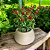 Vaso Para Planta Pequeno Texturizado Oval Decoração Interna - Imagem 8