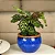 Vaso Cachepot de Mesa 18cm Cerâmica Esmaltada Para Decoração - Imagem 9
