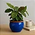 Vaso Cachepot de Mesa 18cm Cerâmica Esmaltada Para Decoração - Imagem 1