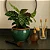 Vaso Cachepot de Mesa 18cm Cerâmica Esmaltada Para Decoração - Imagem 2