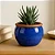 Vaso Cachepot de Mesa 10cm Cerâmica Esmaltada Para Decoração - Imagem 1