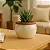 Vaso Cachepot de Mesa 10cm Cerâmica Esmaltada Para Decoração - Imagem 4