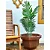 Vaso Para Planta de Polietileno Siena Decoração Externa 48cm - Imagem 15