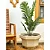 Vaso Para Planta de Polietileno Siena Decoração Externa 48cm - Imagem 13