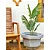 Vaso Para Planta de Polietileno Siena Decoração Externa 48cm - Imagem 14