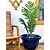 Vaso Para Planta de Polietileno Siena Decoração Externa 48cm - Imagem 11