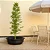 Vaso Bacia Para Planta Siena Oitavado Decoração Externa 88cm - Imagem 5