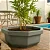 Vaso Bacia Para Planta Siena Oitavado Decoração Externa 88cm - Imagem 12