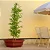 Vaso Bacia Para Planta Siena Oitavado Decoração Externa 88cm - Imagem 2