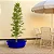 Vaso Bacia Para Planta Siena Oitavado Decoração Externa 88cm - Imagem 6