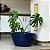 Vaso Bacia Para Planta Decoração Externa Pequim 52x28cm - Imagem 7