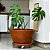 Vaso Bacia Para Planta Decoração Externa Pequim 52x28cm - Imagem 1