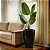 Vaso Para Planta e Decoração Interna Externa Pequim 68x42cm - Imagem 1