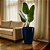 Vaso Para Planta e Decoração Interna Externa Pequim 68x42cm - Imagem 5