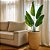 Vaso Para Planta e Decoração Interna Externa Pequim 68x42cm - Imagem 6