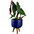 Muda Begônia Maculata Pote 17 Planta Decorativa Área Interna - Imagem 6