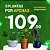 Muda Planta Alocasia Polly Pote 12 Para Decoração Interna - Imagem 2
