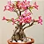 Muda Planta Rosa do Deserto Cor Sortida Decoração Externa - Imagem 8