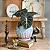 Muda Planta Alocasia Black Pote 12 Para Decoração Interna - Imagem 5