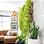 Muda Planta Jiboia Amarela Cuia 21 Para Decoração Interna - Imagem 6