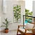 Suporte Para Jardim Vertical Painel Treliça 2 Tamanhos - Imagem 3