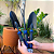 Kit de Ferramentas Para Jardinagem 3 Peças - Alpe & Aritana - Imagem 3