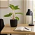 Vaso Para Planta Cachepot Decorativo de Mesa 16x11cm - Imagem 5