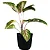 Vaso Para Planta Cachepot Decorativo de Mesa 16x11cm - Imagem 9