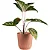 Vaso Para Planta Cachepot Decorativo de Mesa 16x11cm - Imagem 6