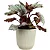 Vaso Para Planta Cachepot Decorativo de Mesa 10x8cm - Imagem 8