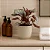 Kit 2 Vasos Para Planta Cachepot Decorativo de Mesa - Imagem 11