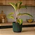 Kit 2 Vasos Para Planta Cachepot Decorativo de Mesa - Imagem 15