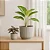 Kit 2 Vasos Para Planta Cachepot Decorativo de Mesa - Imagem 1