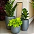 Kit 3 Vasos Polietileno Para Plantas Decorativo Cone Bacia - Imagem 7