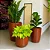 Kit 3 Vasos Polietileno Para Plantas Decorativo Cone Bacia - Imagem 1