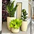 Kit 3 Vasos Polietileno Para Plantas Decorativo Cone Bacia - Imagem 9
