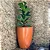 Vaso Para Planta e Decoração Interna Externa Pequim 30x24cm - Imagem 11