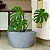 Vaso Bacia Para Planta Pequim Texturizado Decorativo 52x28cm - Imagem 7