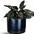 Vaso Para Planta Decorativo Redondo Mini Doha 14x19cm - Imagem 13