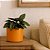 Vaso Para Planta Decorativo Redondo Mini Doha 14x19cm - Imagem 7