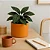 Vaso Para Planta Decorativo Redondo Mini Doha 14x19cm - Imagem 20