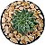 Pedra Bege para Jardim e Vaso Nº2 - 10kg - Imagem 3
