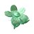 Piranha Flor | Piranha de cabelo verde em formato de flor - Imagem 13