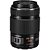 Panasonic Lumix G X Vario PZ 45-175mm f/4-5.6 ASPH. POWER O.I.S. | Lente Telefoto Compacta - Imagem 1