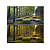 Tiffen Filtro Graduado Tangerine 2 4x5.65 (Borda Suave, Vertical) - Imagem 1