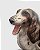 Escultura em porcelana italiana ´´Cão``. - Imagem 2