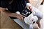 Kit Profissões Infantil - Veterinário - Imagem 9